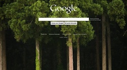 google sfondo